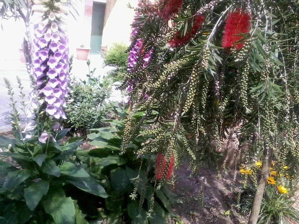 La Valle Dell'Etna Zafferana Etnea Holiday home